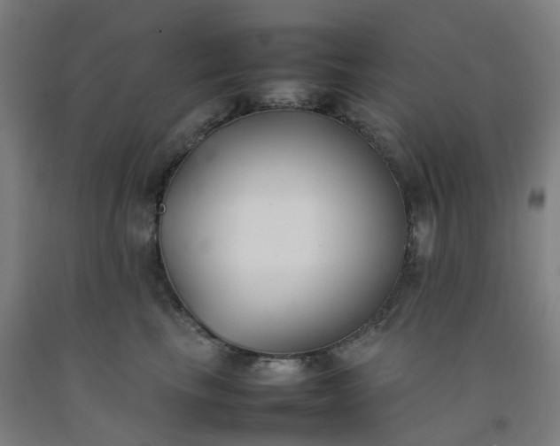 X0000092240665200709281125