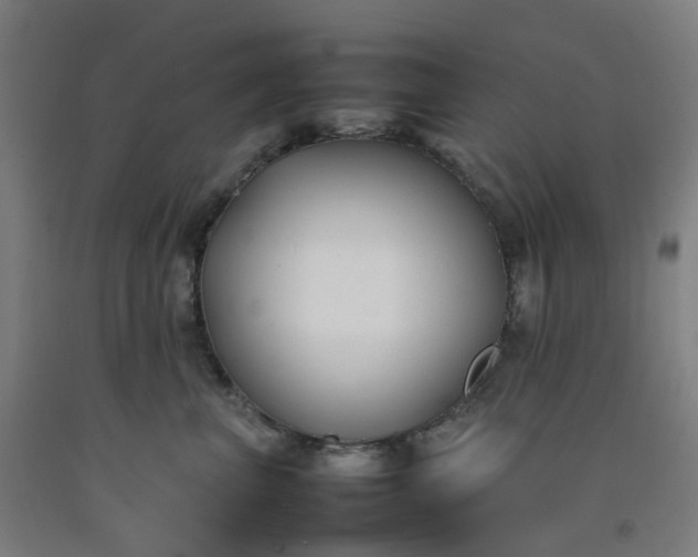 X0000092240667200709281125