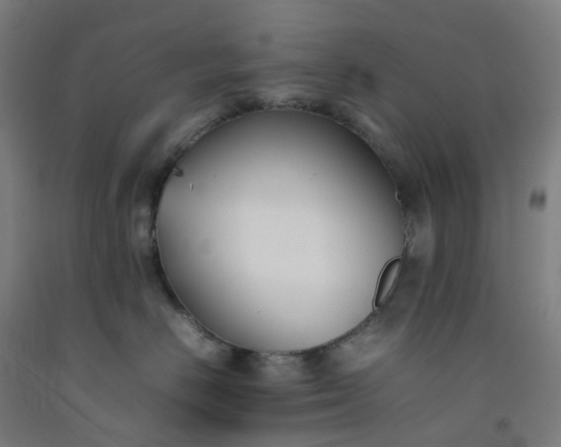 X0000092240670200709281125