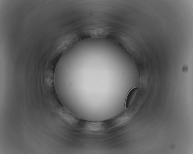 X0000092240671200709281125