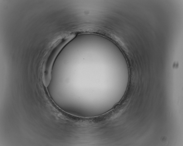 X0000092240673200709281125