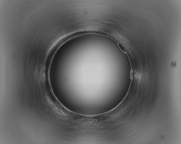 X0000092240676200709281125