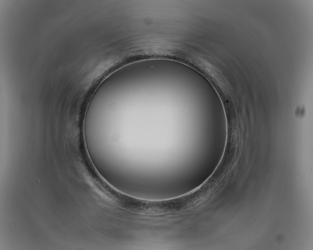 X0000092240677200709281125