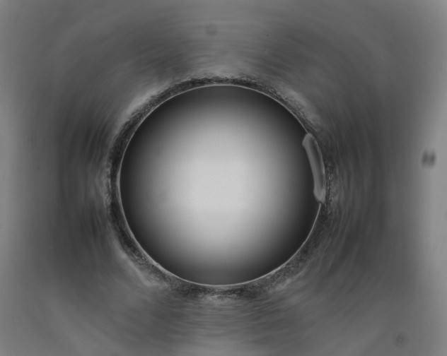 X0000092240680200709281124