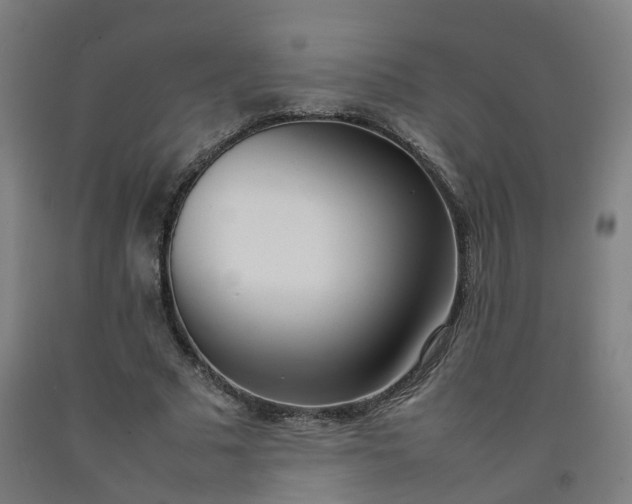 X0000092240681200709281124