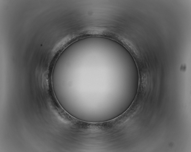 X0000092240682200709281124