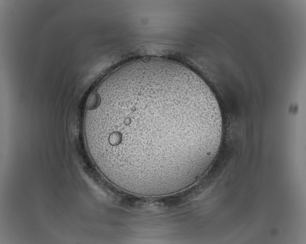 X0000092240683200709281124