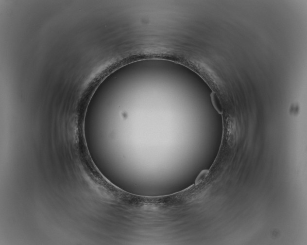 X0000092240684200709281124