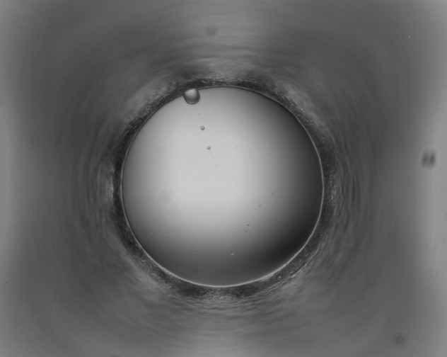 X0000092240685200709281124