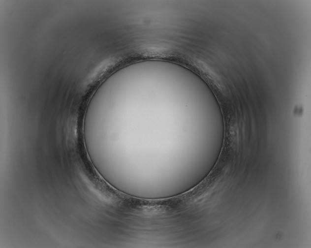 X0000092240686200709281124