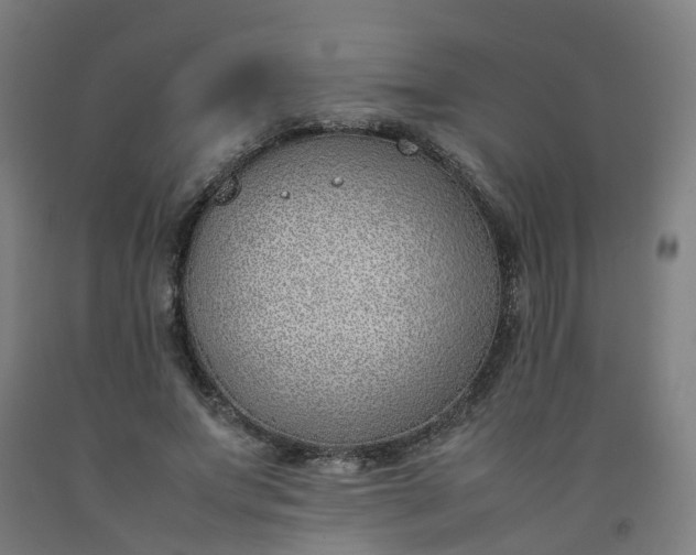 X0000092240687200709281124