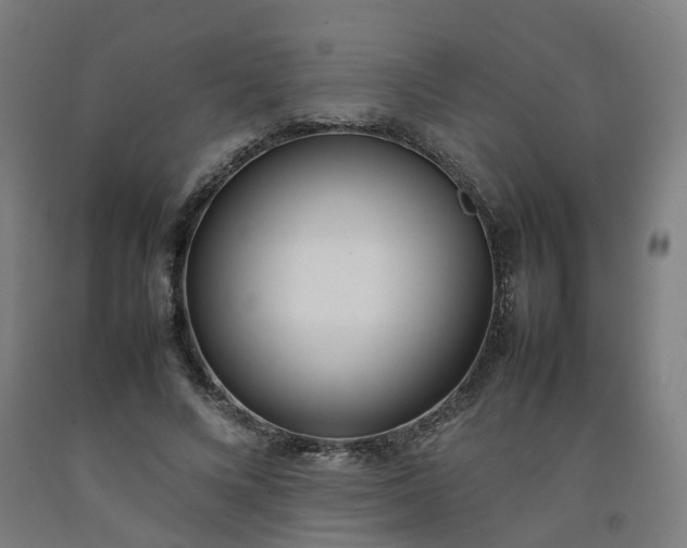 X0000092240688200709281124