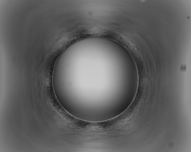 X0000092240689200709281124