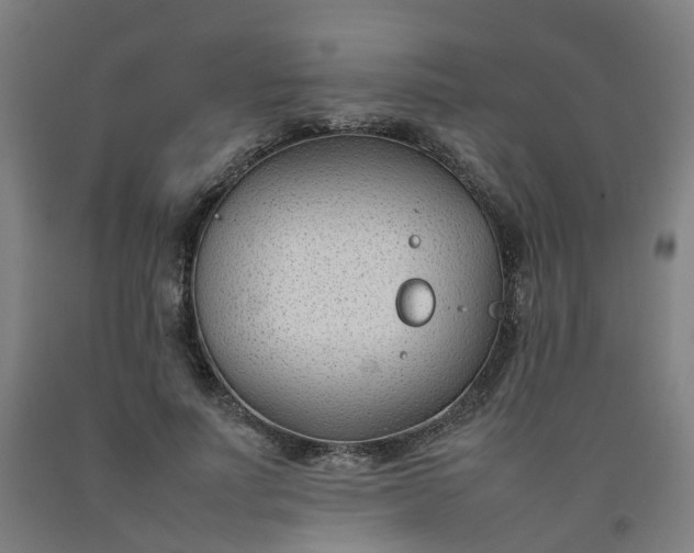 X0000092240691200709281124