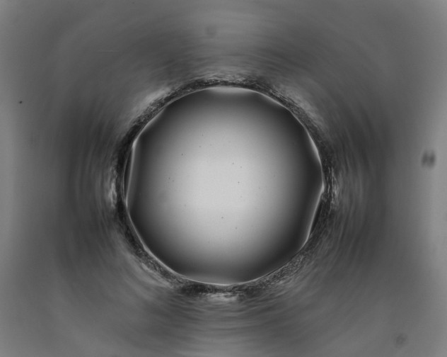 X0000092240692200709281124