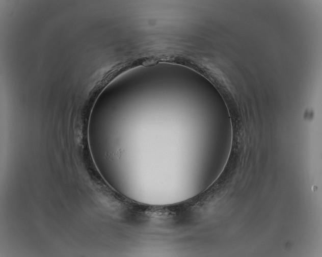 X0000092240693200709281124