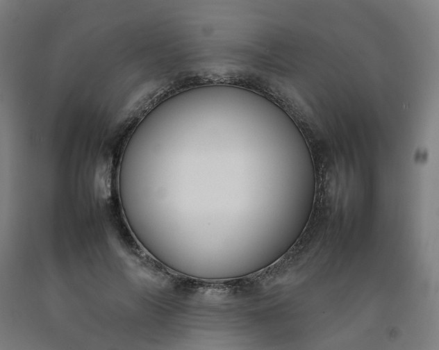 X0000092240694200709281124