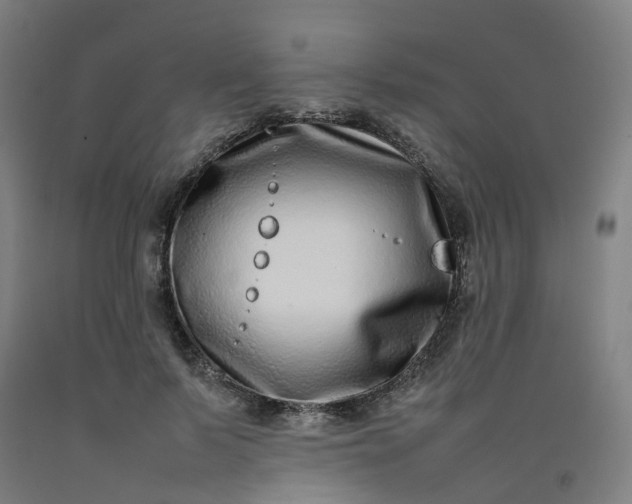 X0000092240695200709281124