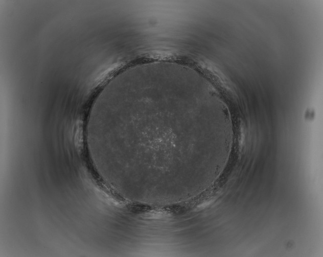 X0000092240696200709281124