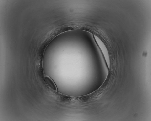 X0000092240697200709281124