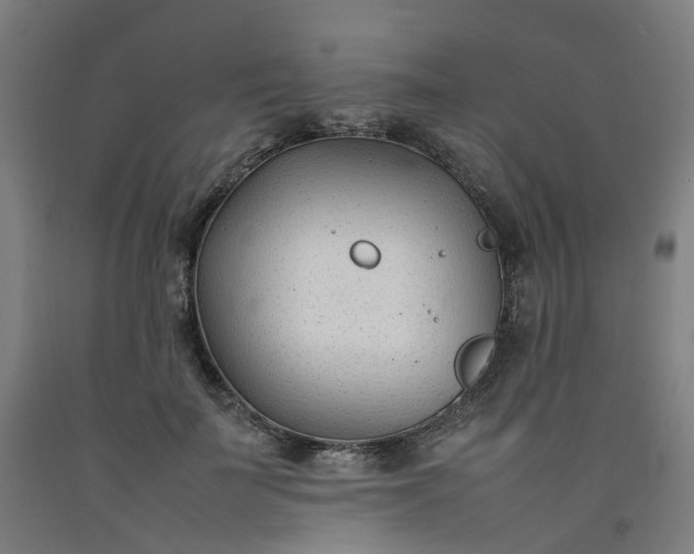 X0000092240699200709281124