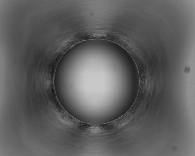 X0000092240704200709281124