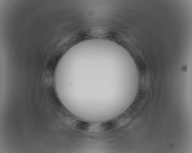 X0000092240705200709281124