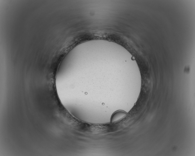 X0000092240707200709281124