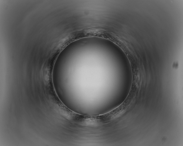 X0000092240708200709281124