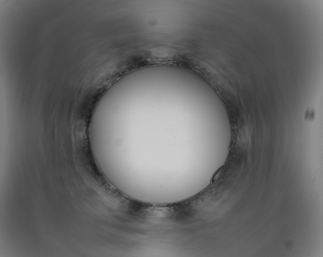 X0000092240711200709281124