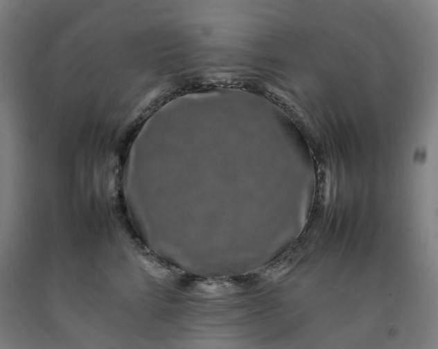 X0000092240712200709281124