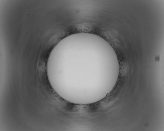 X0000092240713200709281124