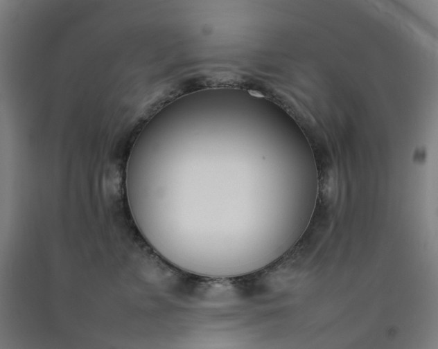 X0000092240715200709281124