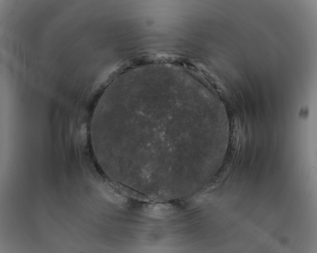 X0000092240716200709281124