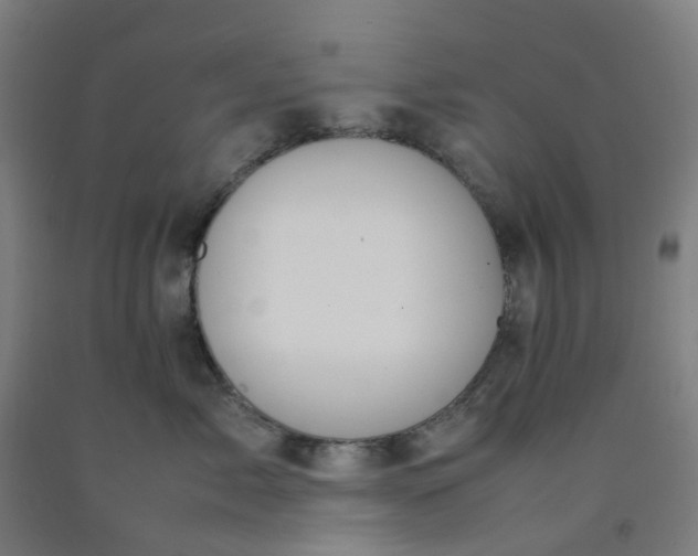 X0000092240717200709281124