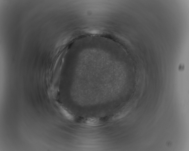 X0000092240720200709281124