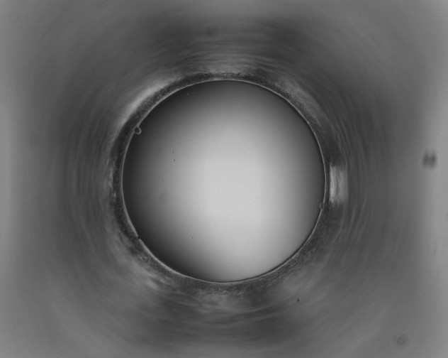 X0000092240723200709281123