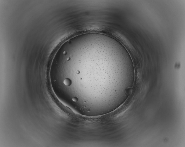 X0000092240725200709281123