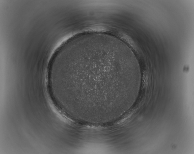 X0000092240726200709281123