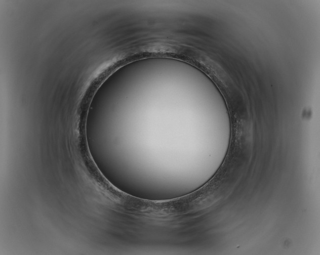 X0000092240727200709281123