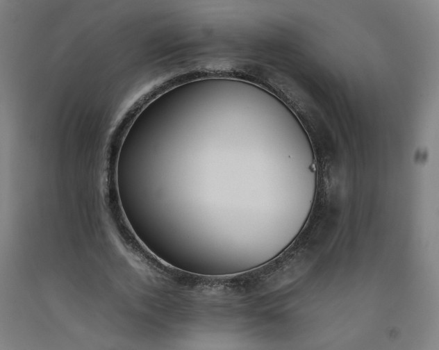 X0000092240728200709281123