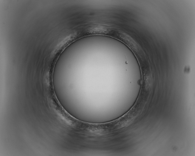 X0000092240729200709281123