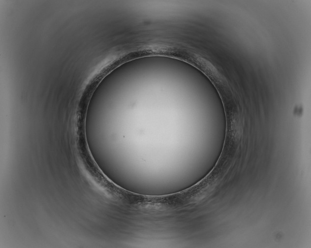 X0000092240730200709281124