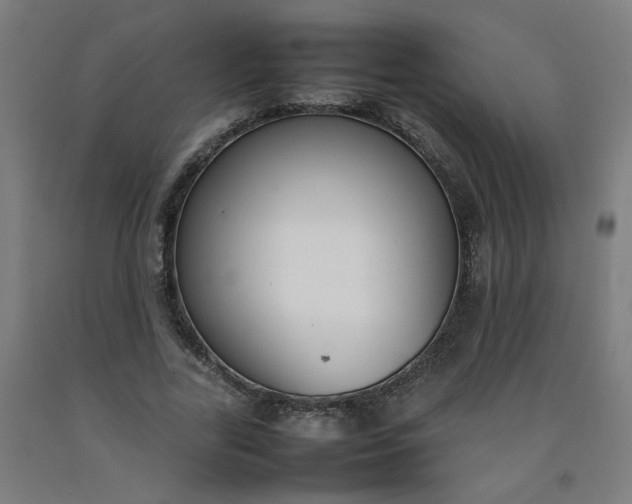 X0000092240731200709281124