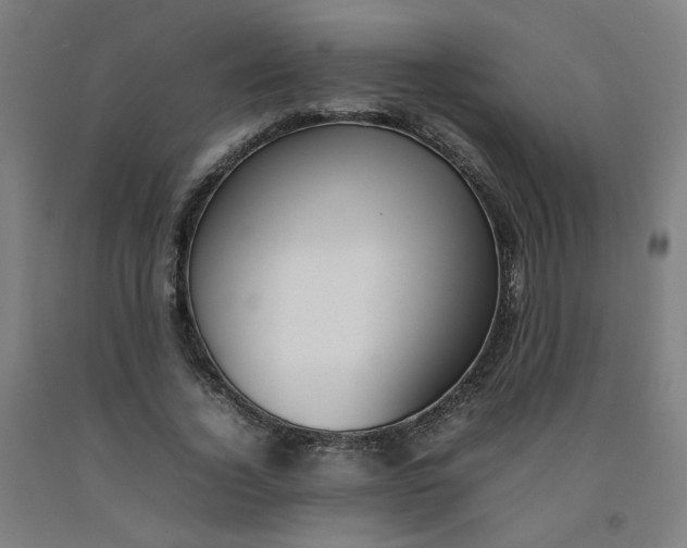 X0000092240732200709281124