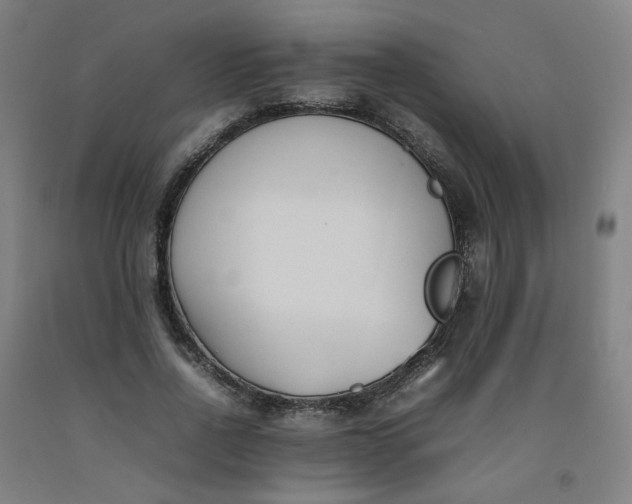 X0000092240734200709281124