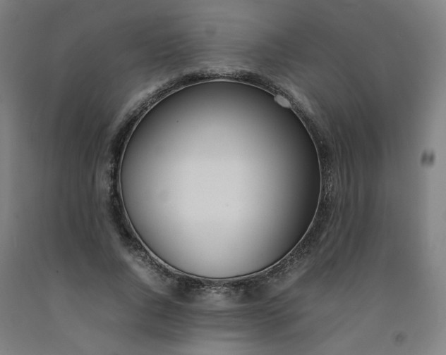 X0000092240736200709281124