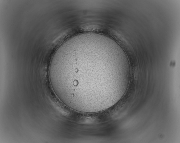 X0000092240737200709281124