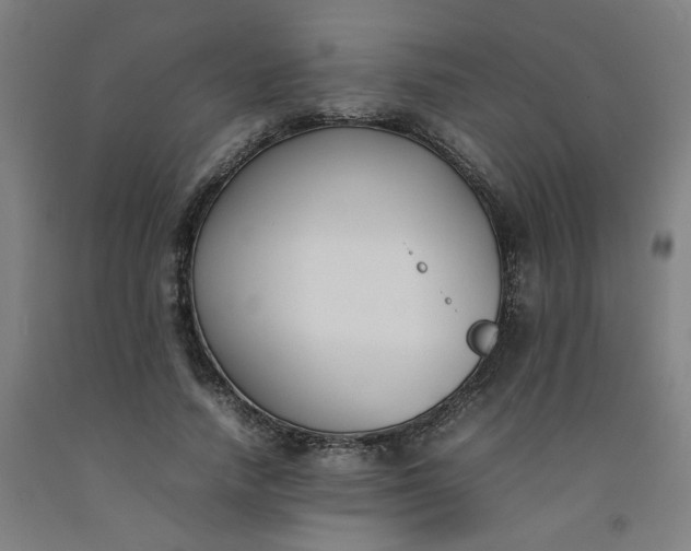 X0000092240738200709281124