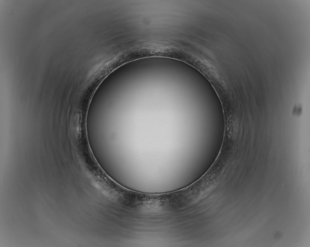 X0000092240740200709281124